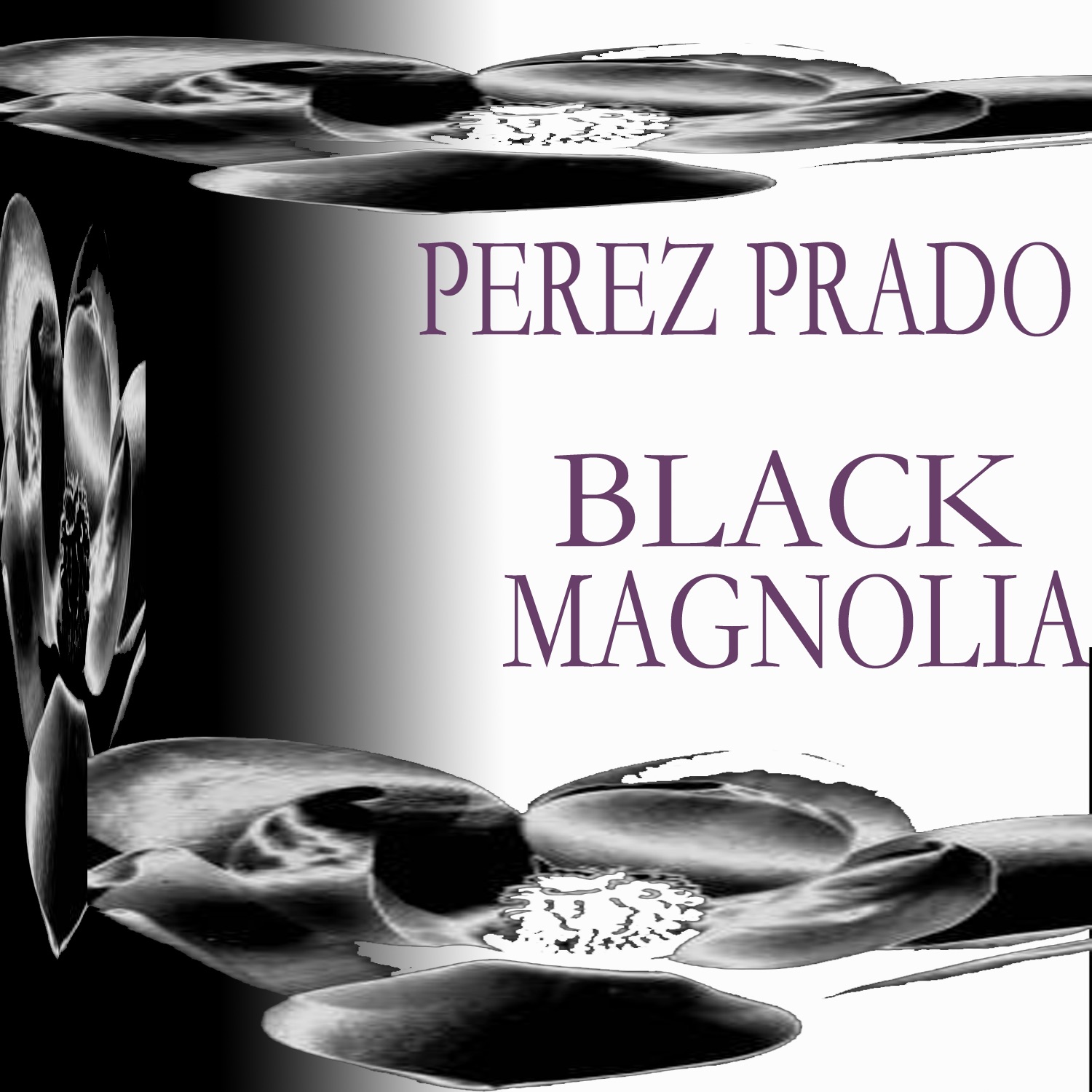 Black Magnolia album cover