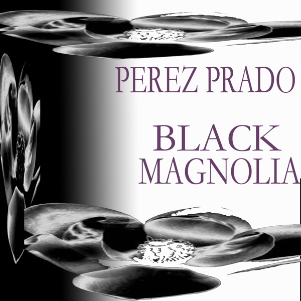Black Magnolia album cover
