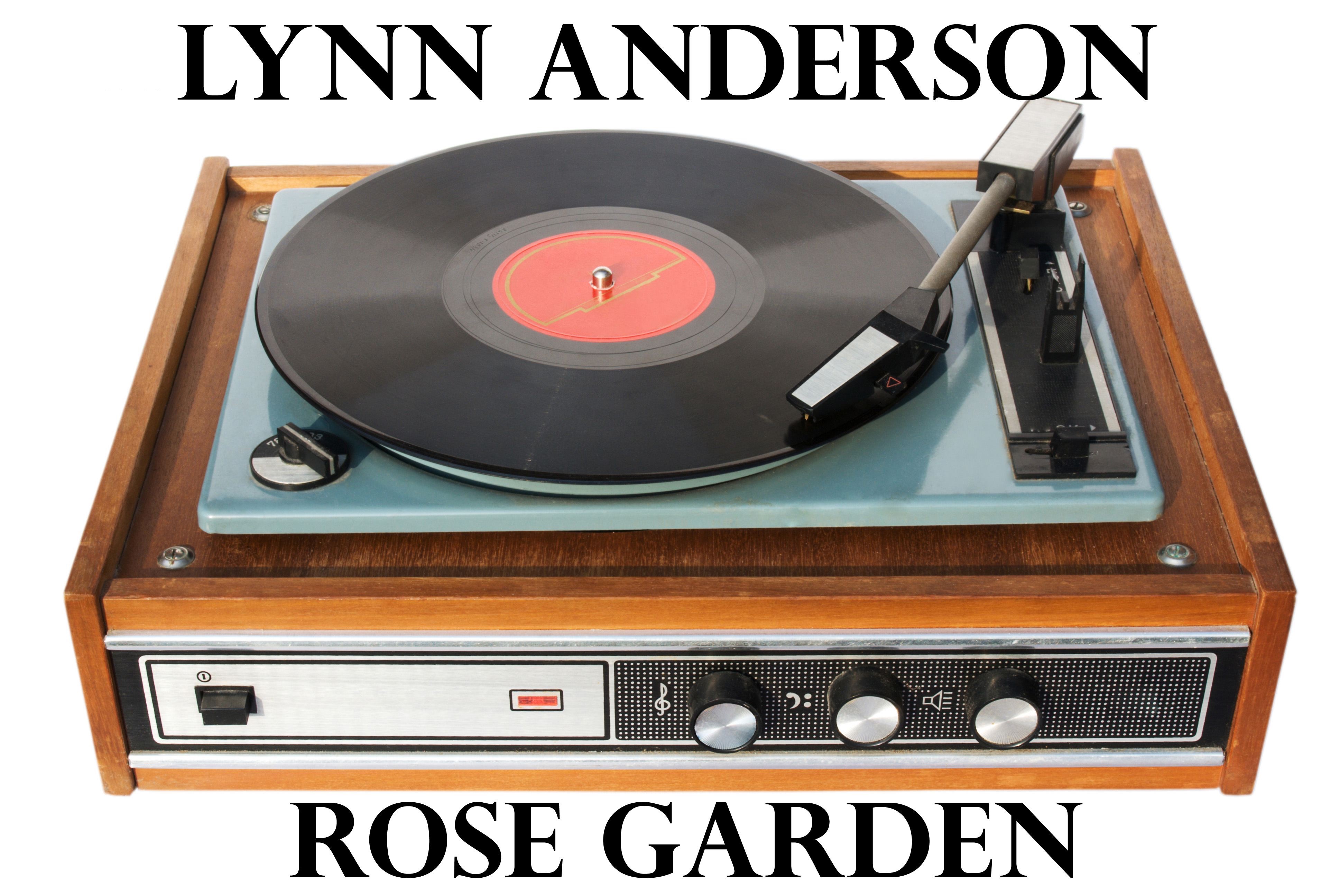 Rose Garden (New Stereo Version) - Single album cover