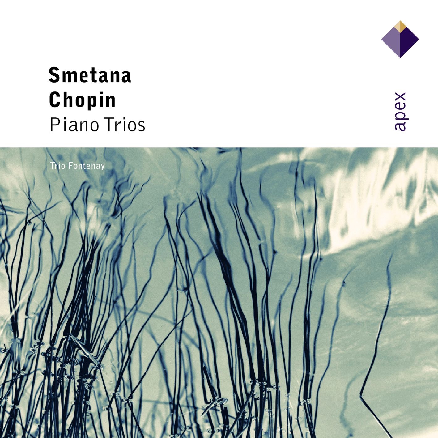 Chopin: Piano Trio & Smetana: Piano Trio album cover