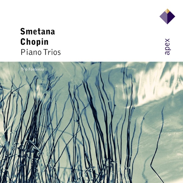 Chopin: Piano Trio & Smetana: Piano Trio album cover
