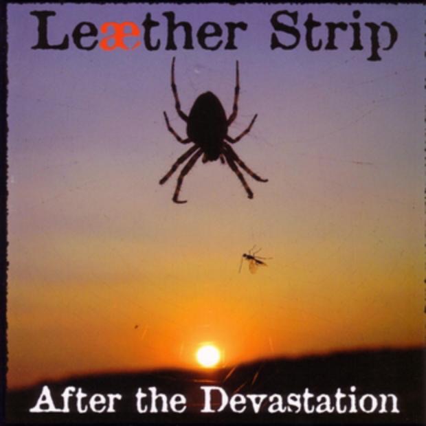 After the Devastation album cover