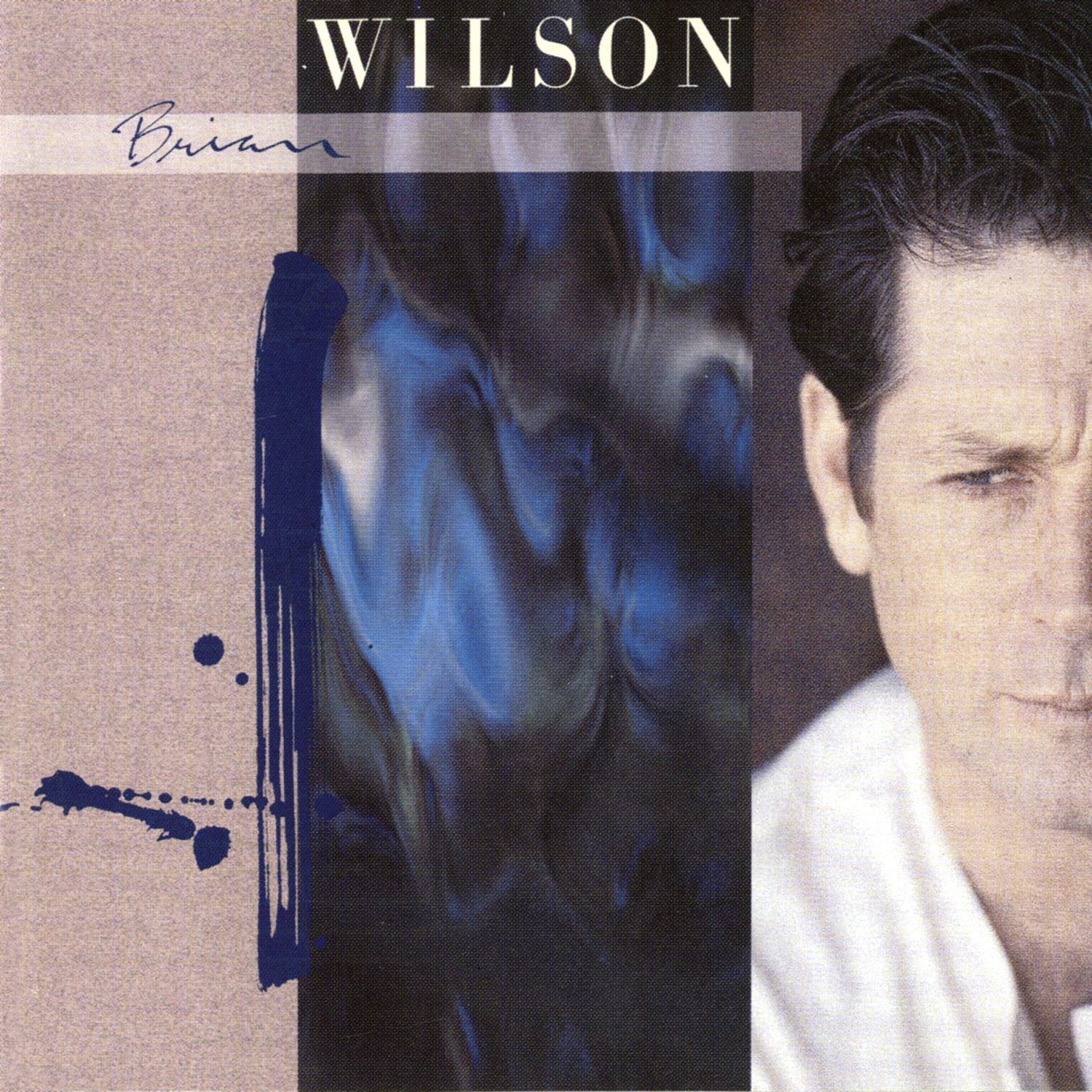 Brian Wilson album cover