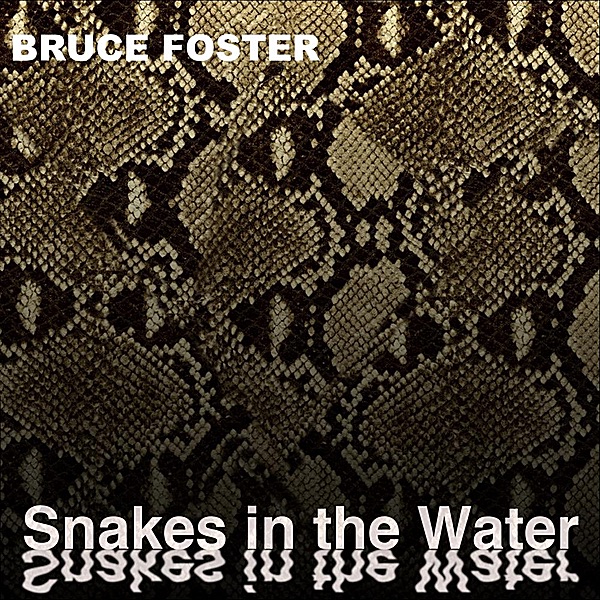 Snakes In the Water album cover