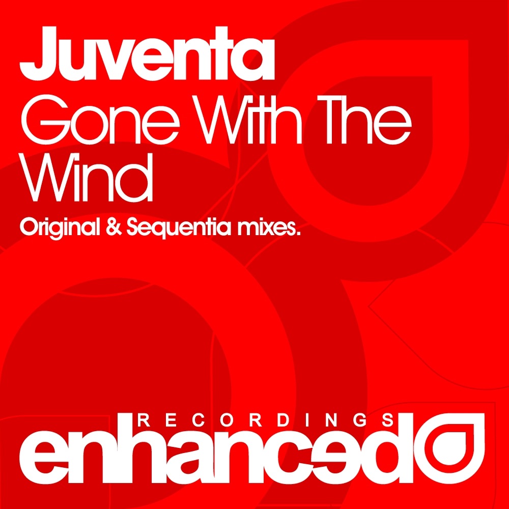 Gone With The Wind - Single album cover