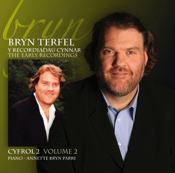 Y Recordiadau Cynar - Cyfrol 2 album cover