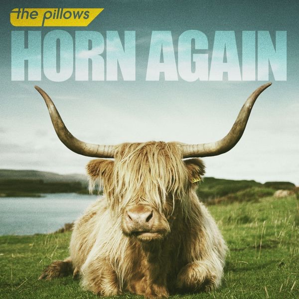HORN AGAIN album cover