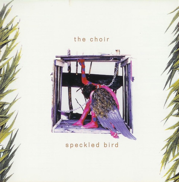 Speckled Bird album cover