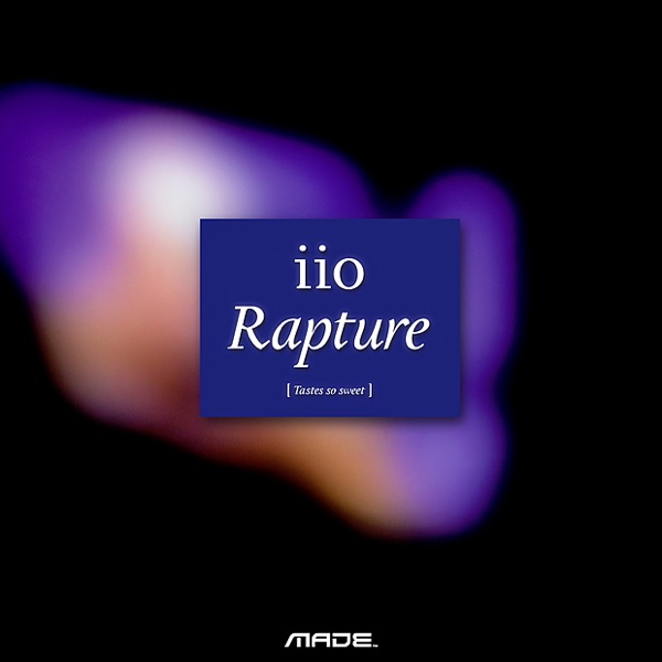 Rapture (Treasure Chest Package) [feat. Nadia Ali] [Remixes] - Single album cover
