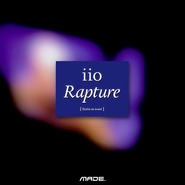 Rapture (Treasure Chest Package) [feat. Nadia Ali] [Remixes] - Single album cover