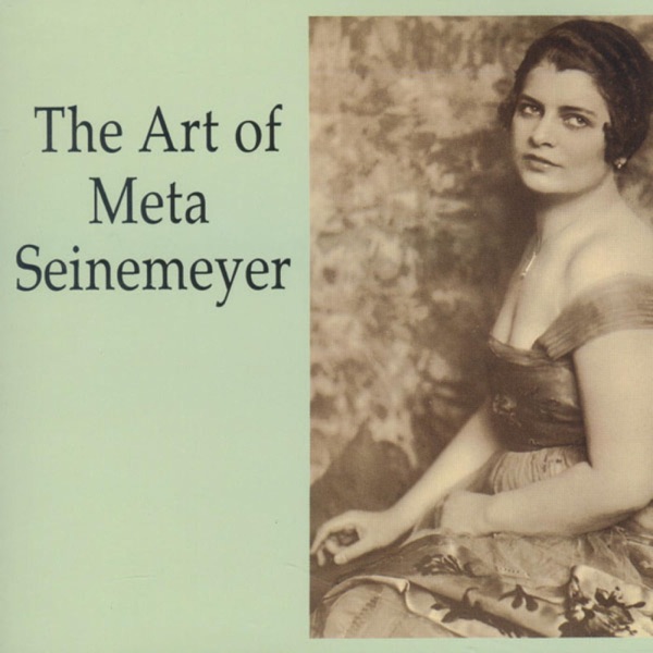 The Art Of Meta Seinemeyer album cover
