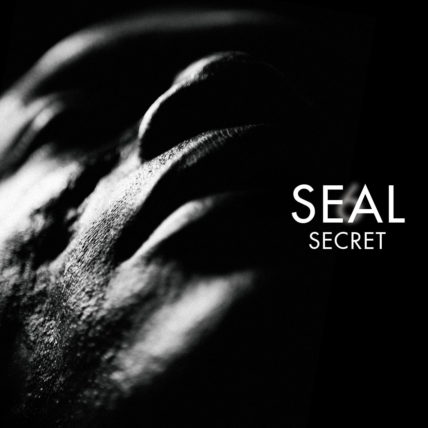 Secret - Single album cover