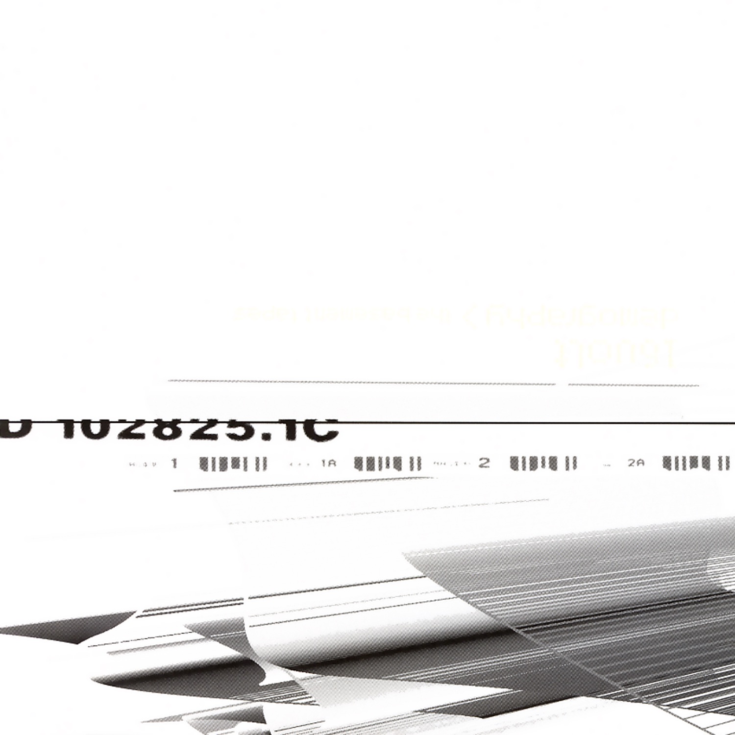 Demography: the Basement Tapes album cover