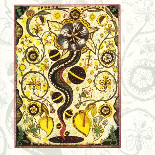 I Feel Alright album cover