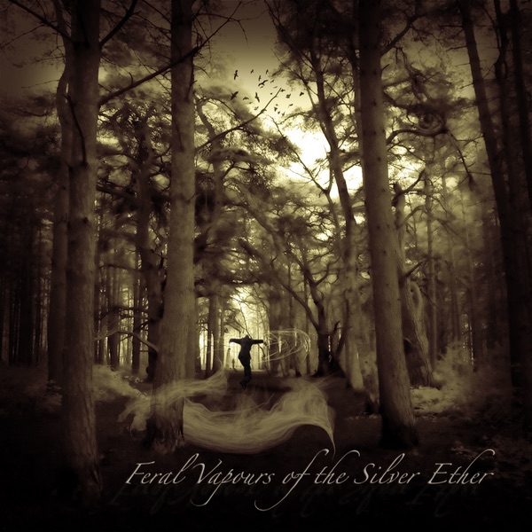 Feral Vapours of the Silver Ether (Bonus Track Version) album cover