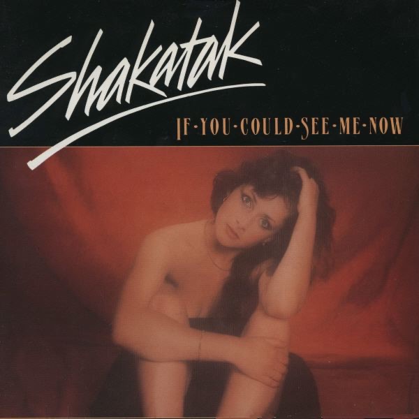 If You Could See Me Now - EP album cover