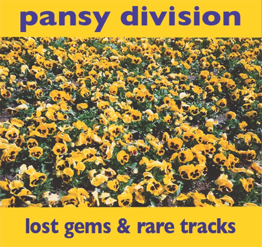 Lost Gems & Rare Tracks album cover