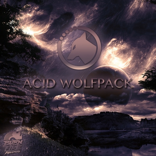 Acid Wolfpack - Single album cover