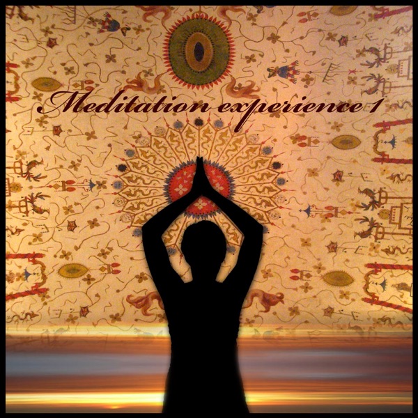 Meditation Experience 1: Chillout Lounge album cover