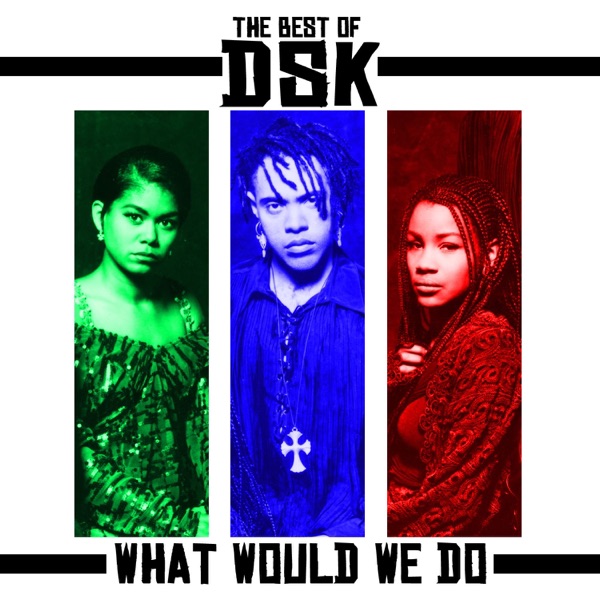 The Best of DSK - What Would We Do album cover