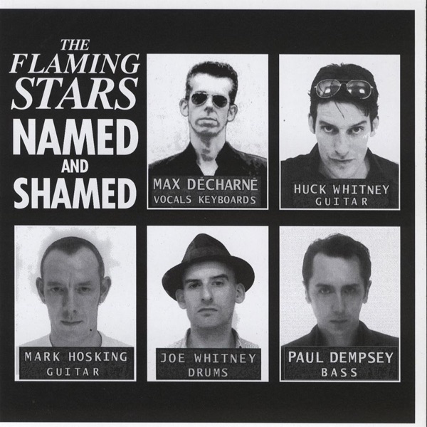 Named and Shamed album cover