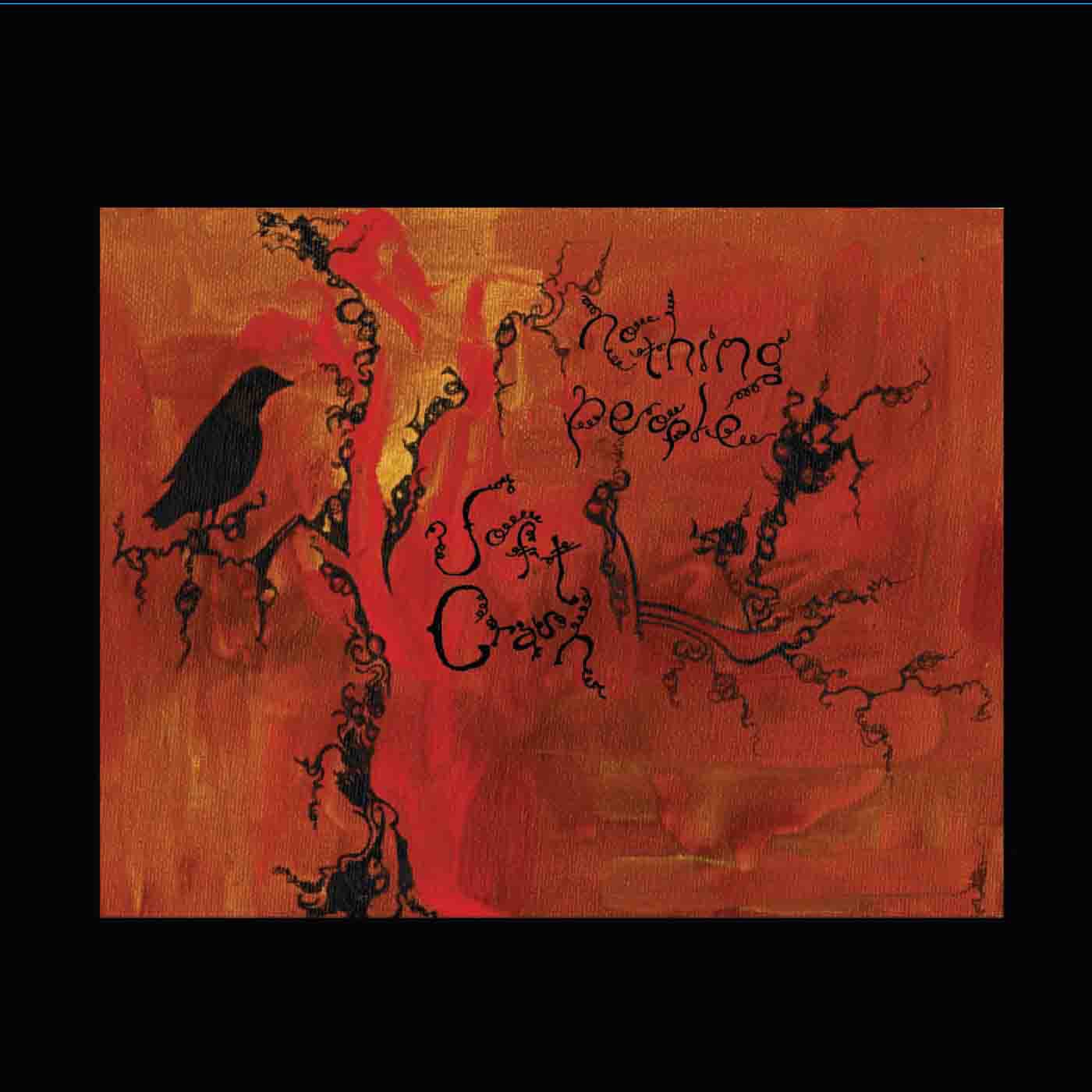 Soft Crash album cover