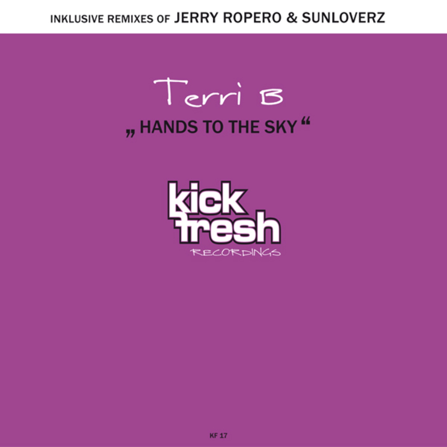 Hands to the Sky album cover