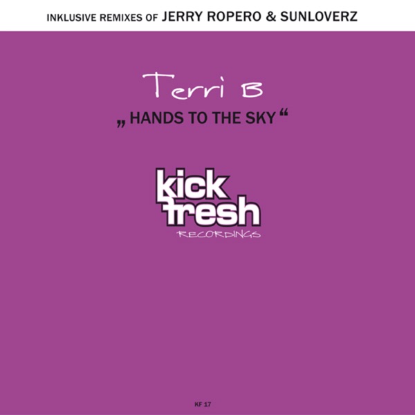 Hands to the Sky album cover