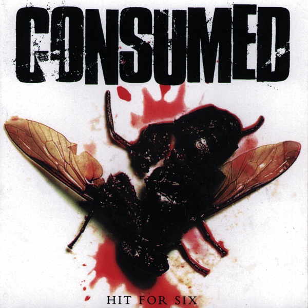 Hit for Six album cover