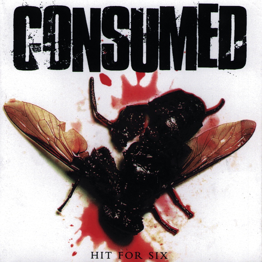 Hit for Six album cover
