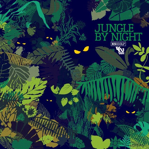 Jungle By Night album cover