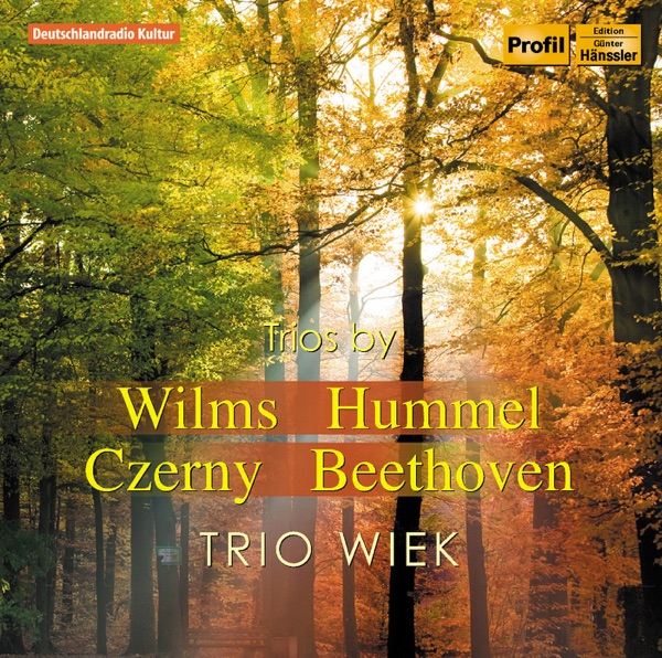 Wilms - Hummel - Czerny - Beethoven: Works for Flute, Cello and Piano album cover