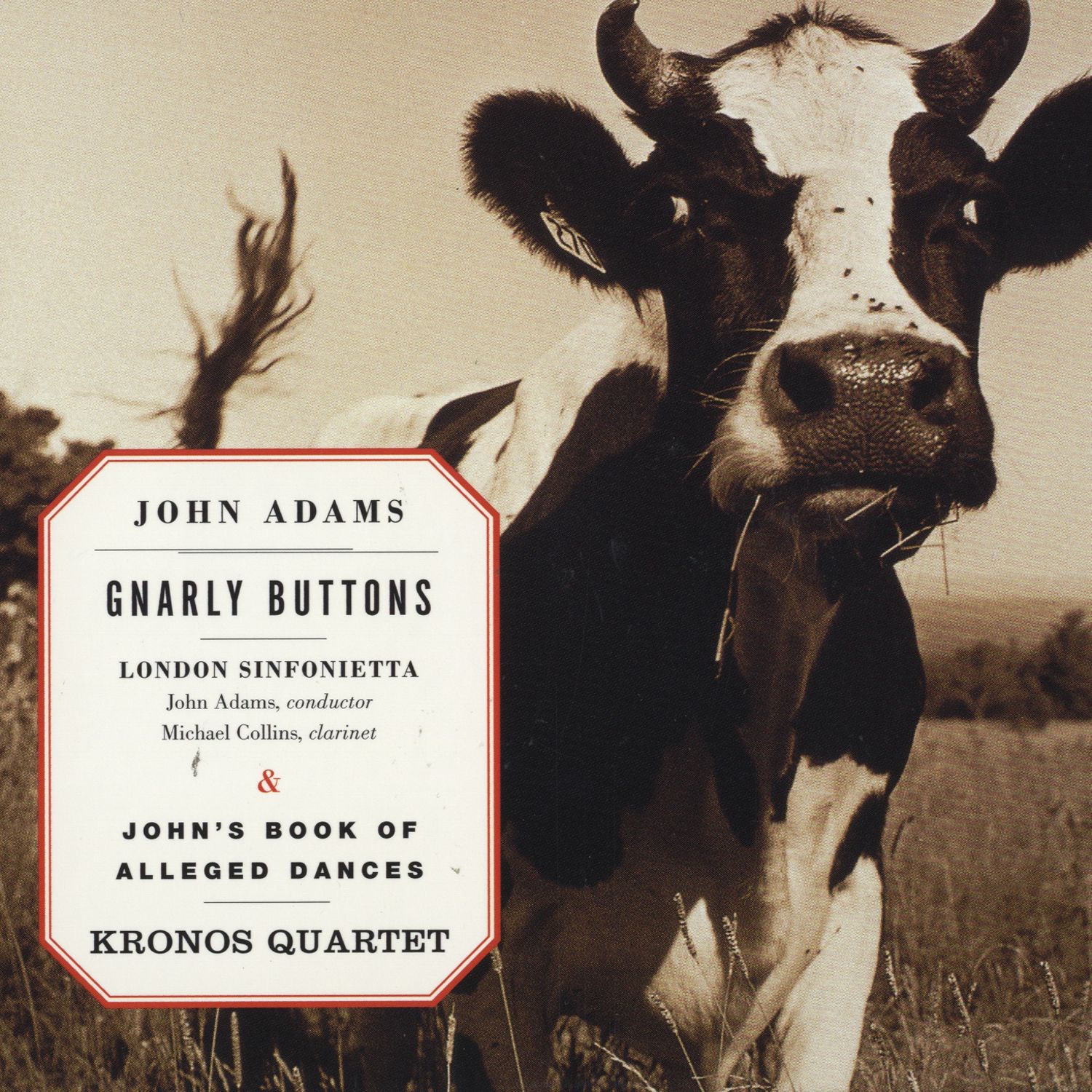 Adams: Gnarly Buttons - John's Book of Alleged Dances album cover