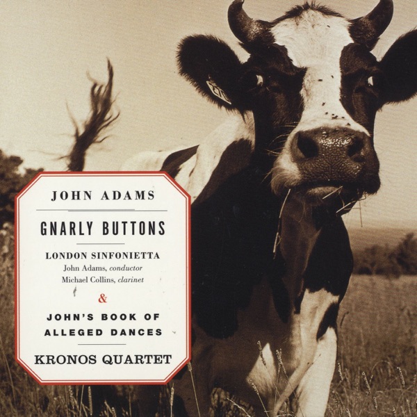 Adams: Gnarly Buttons - John's Book of Alleged Dances album cover