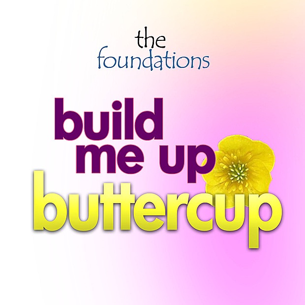 Build Me Up Buttercup album cover