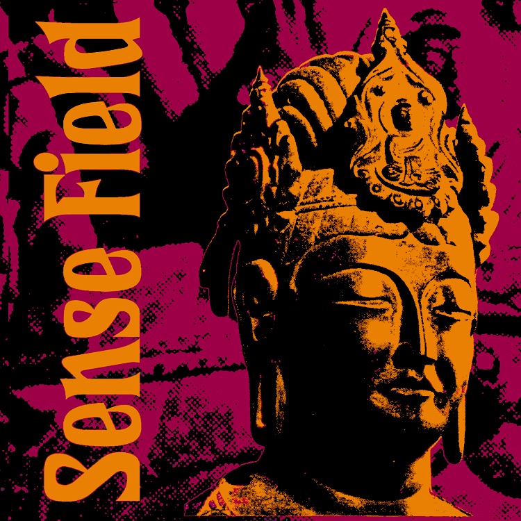 Sense Field album cover