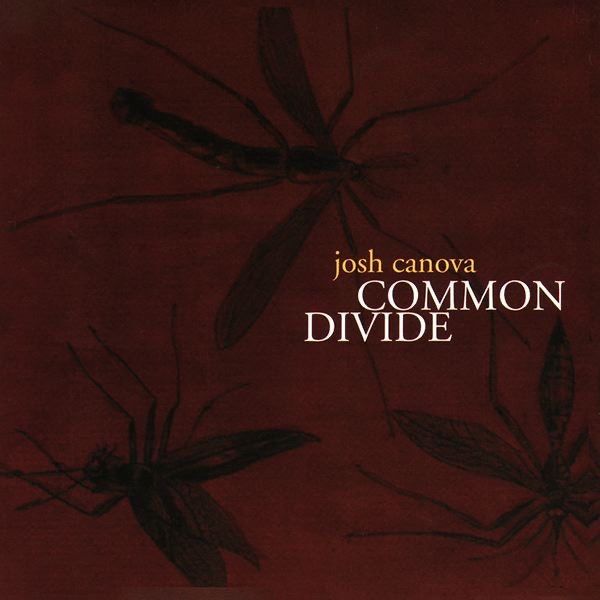Common Divide album cover