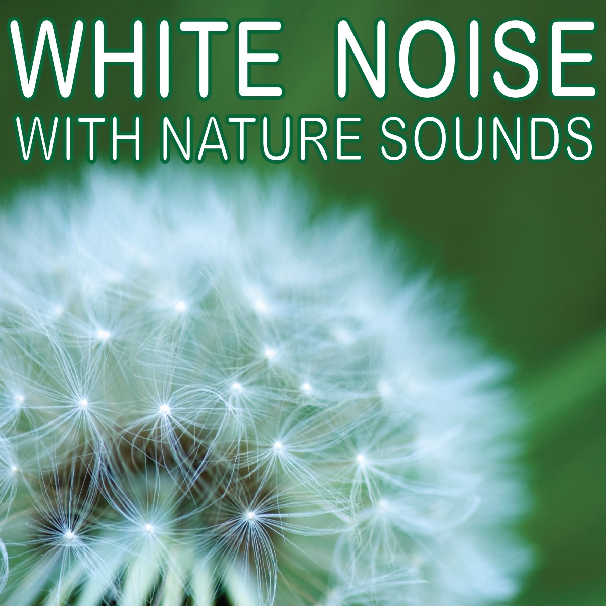 White Noise With Nature Sounds album cover