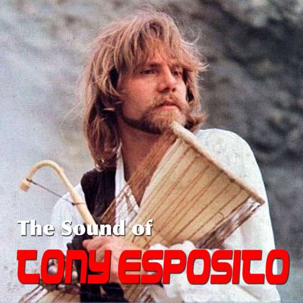 The Sound of Tony Esposito album cover