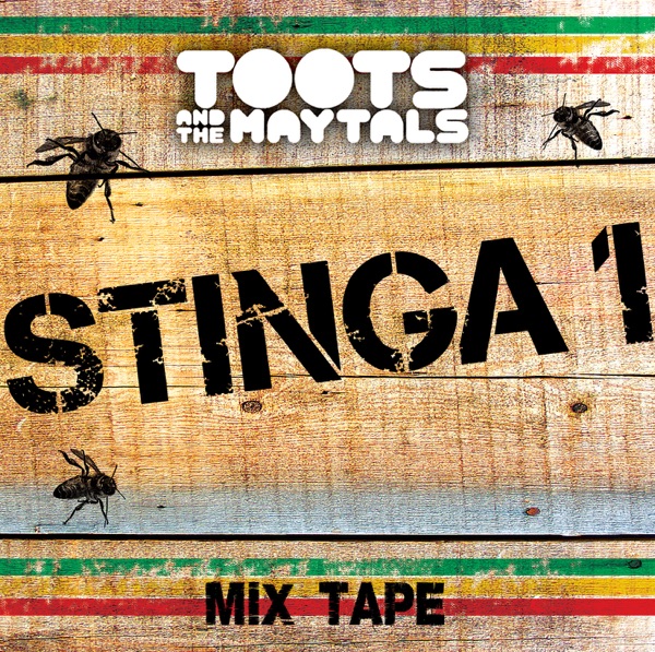 Stinga 1 album cover