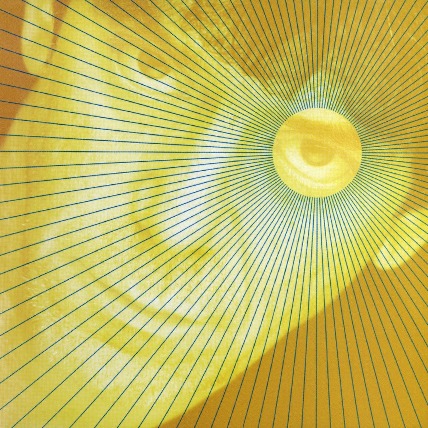 Set the Twilight Reeling album cover