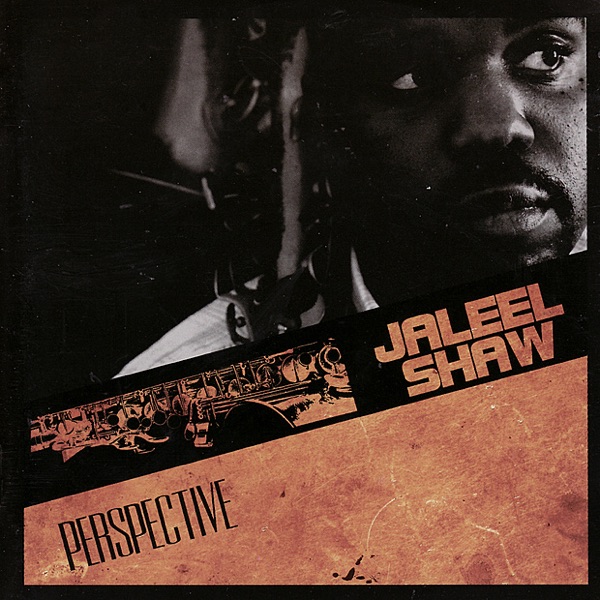 Perspective album cover