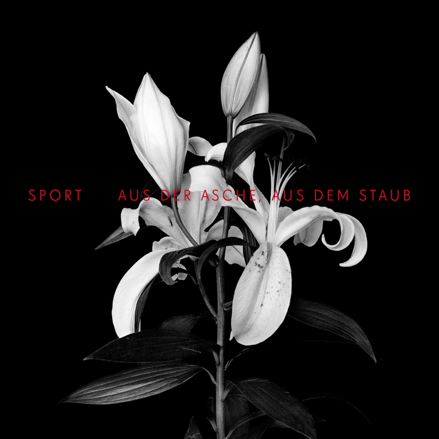 Aus der Asche, aus dem Staub (Bonus Digital Booklet Version) album cover