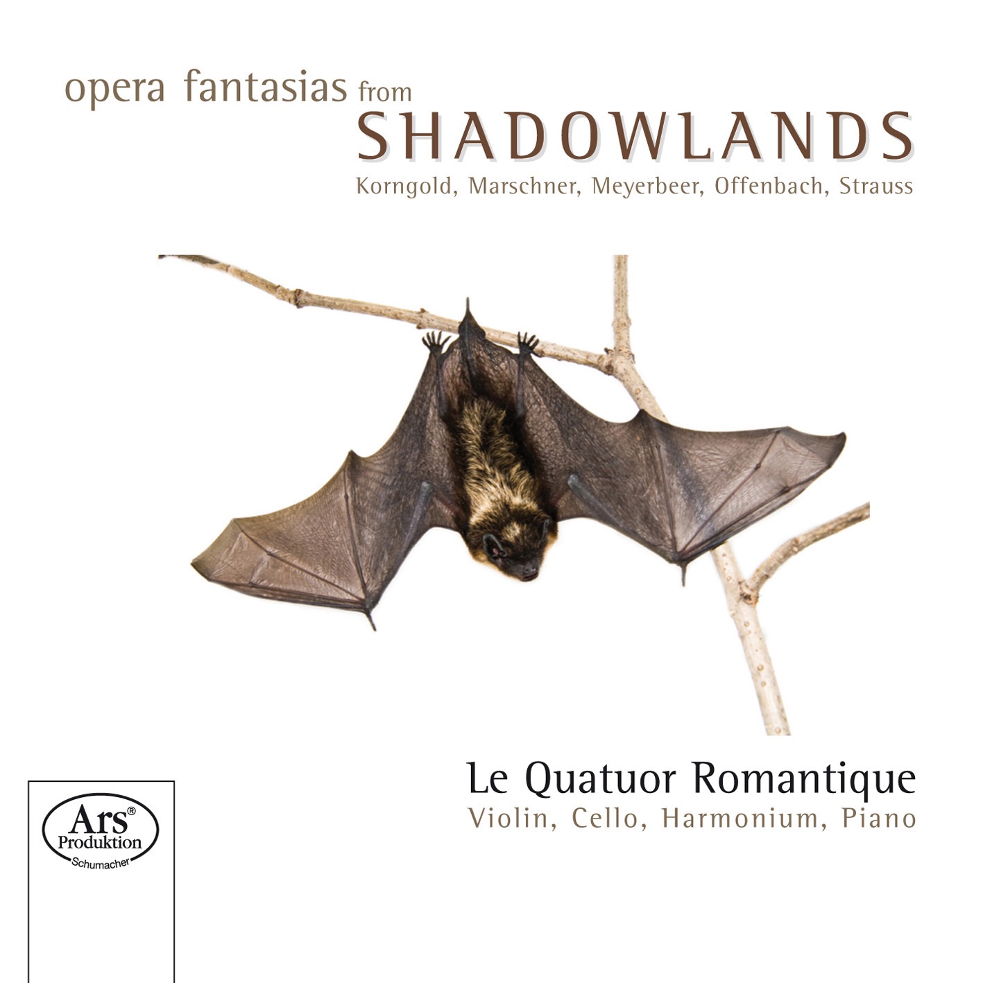 Opera Fantasias from the Shadowlands album cover