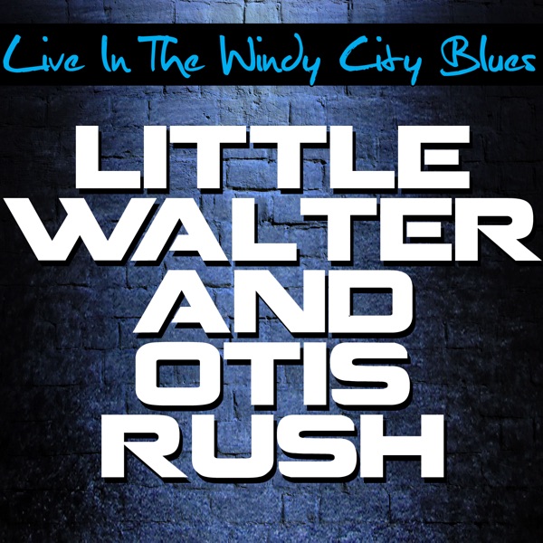 Live In the Windy City Blues album cover