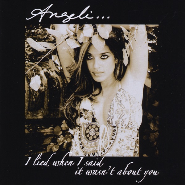 I Lied When I Said It Wasn't About You album cover