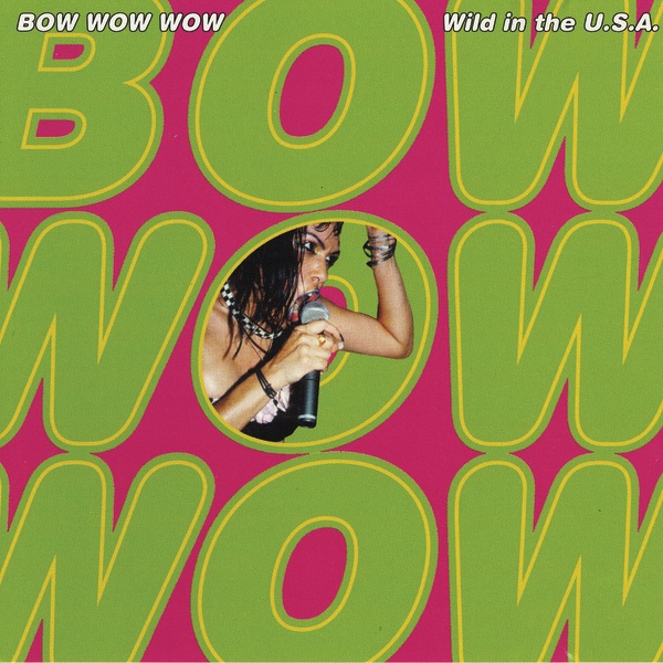 Wild In the U.S.A. (Re-Recorded Versions) album cover