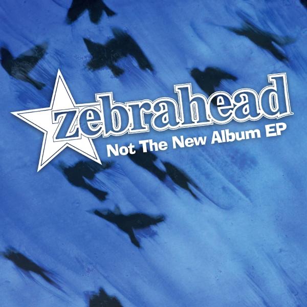 Not the New Album - EP album cover