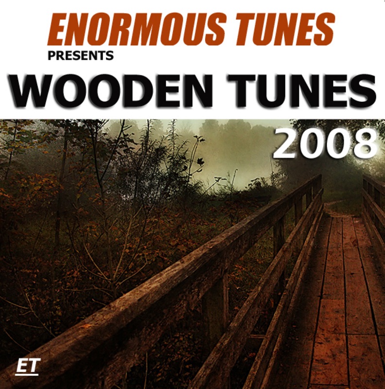 Wooden Tunes 2008 album cover