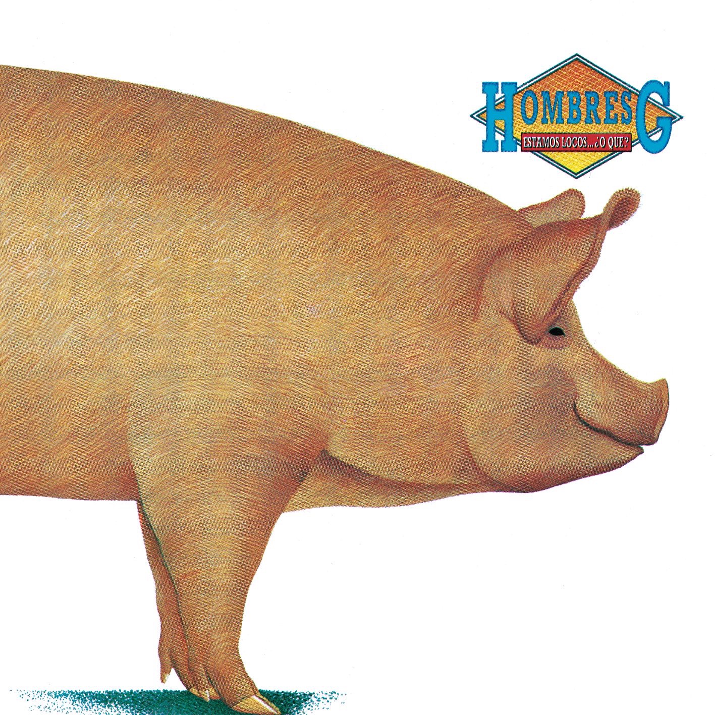 Estamos Locos... ¿O Qué? album cover